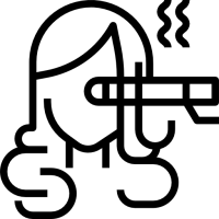 Icône expert
